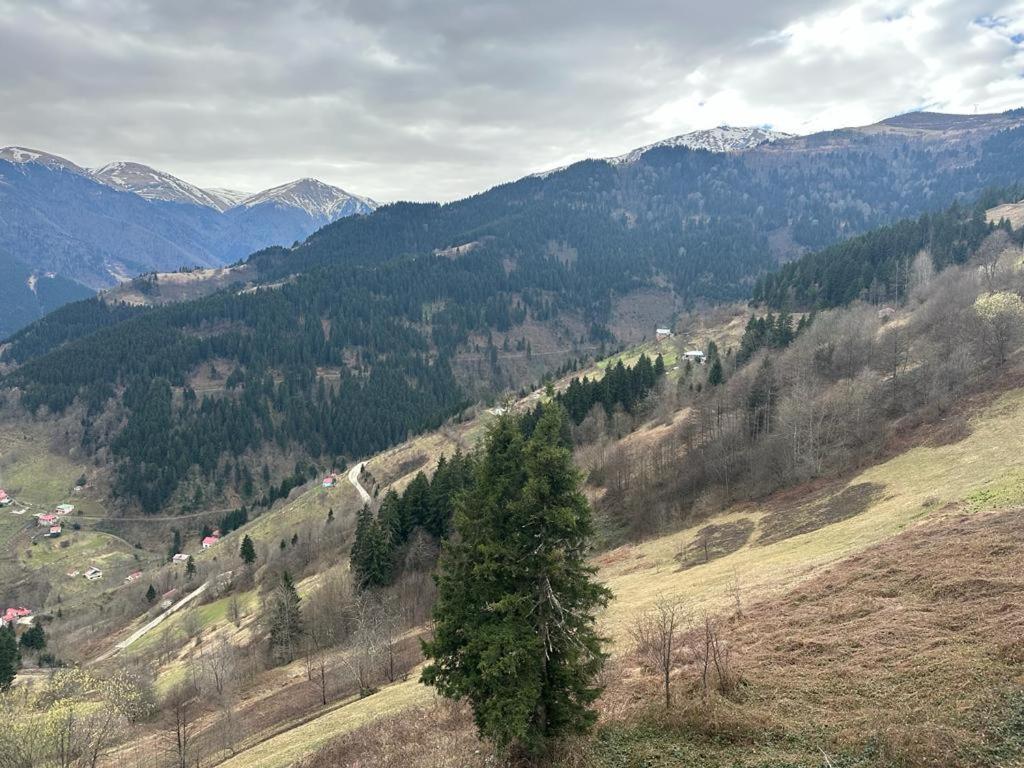 MEŞEİÇİ BUTiK HOTEL Macka Eksteriør billede